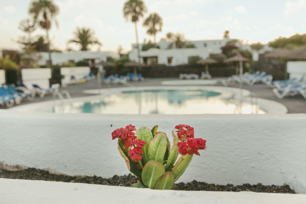 Duplex Joan Puerto del Carmen (Lanzarote) Exterior foto